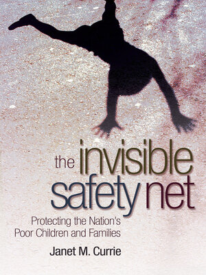 cover image of The Invisible Safety Net